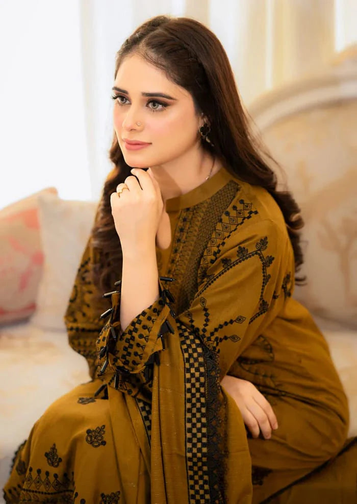 Heavy Embroidered Dhanak Suit (Embroidered Dhanak Shawl)